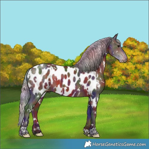 Horse Color:Nacre White Spotted Silver Brown Near Leopard