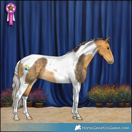 Horse Color:Silver Buckskin Tobiano Rabicano