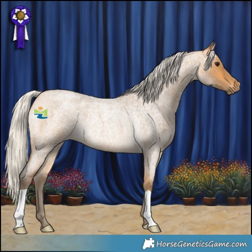 Horse Color:Silver Buckskin Roan Rabicano