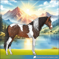 Horse Color:Bay Tobiano Snowflake Varnish