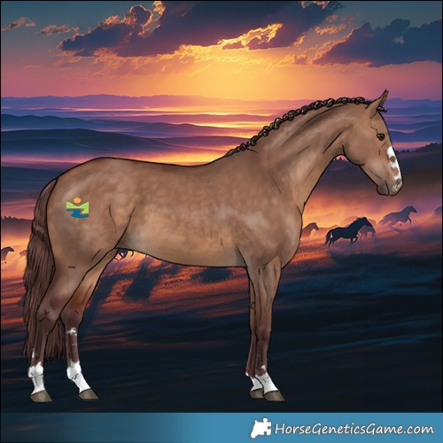 Horse Color:Chocolate Bay Dun