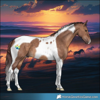 Horse Color:Chocolate Brown Dun Tobiano 