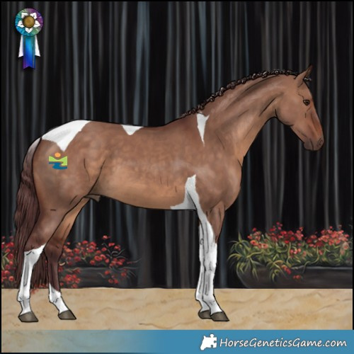 Horse Color:Chocolate Brown Dun Tobiano