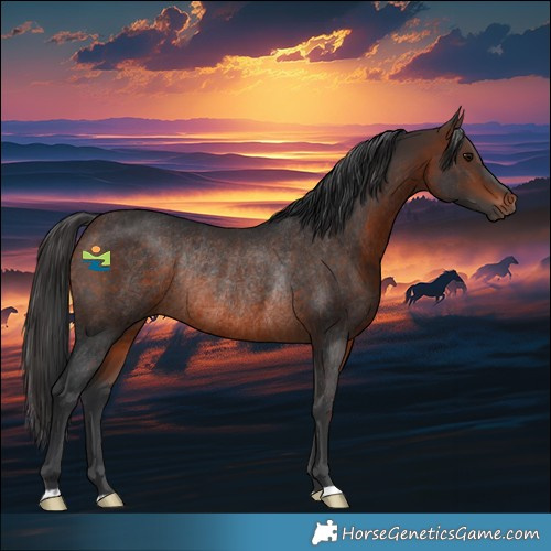 Horse Color:Brown Rabicano