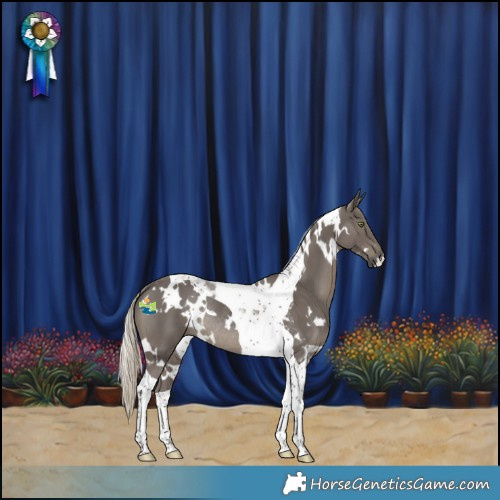 Horse Color:White Spotted Silver Smoky Black Tobiano Rabicano