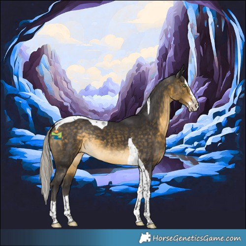 Horse Color:Silver Buckskin Sabino Splash Tobiano