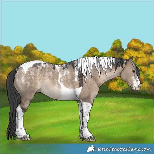 Horse Color:Powder White Brown Dun Tobiano Blanket 
