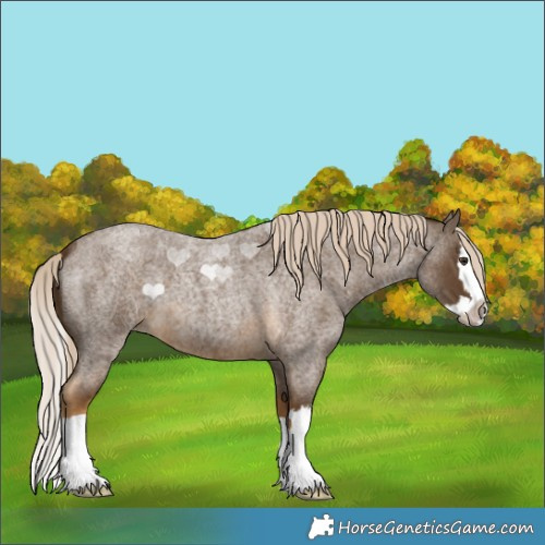 Horse Color:Chocolate Palomino Roan Splash 