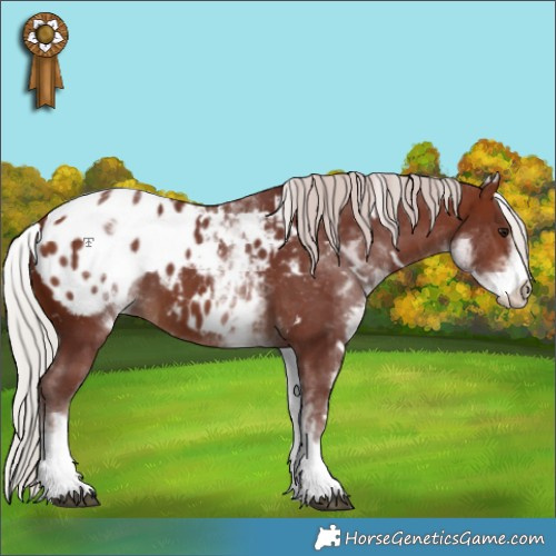 Horse Color:White Spotted Chocolate Silver Brown Blanket