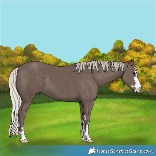 Horse Color:Silver Black 