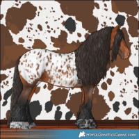 Horse Color:Bay Blanket and Bay Blanket