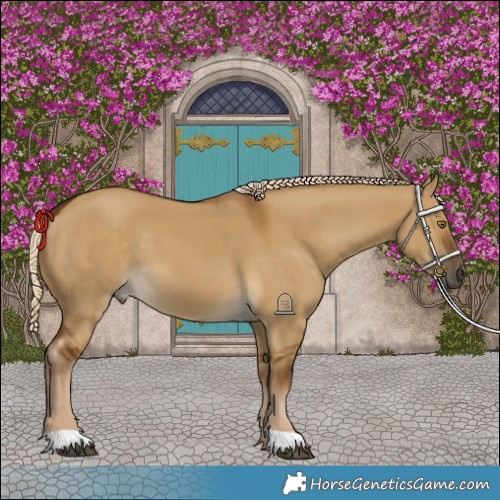 Horse Color:Chocolate Palomino Dun