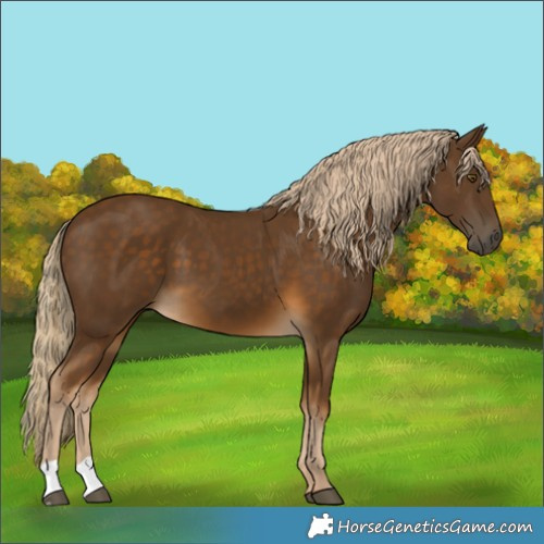 Horse Color:Chocolate Palomino