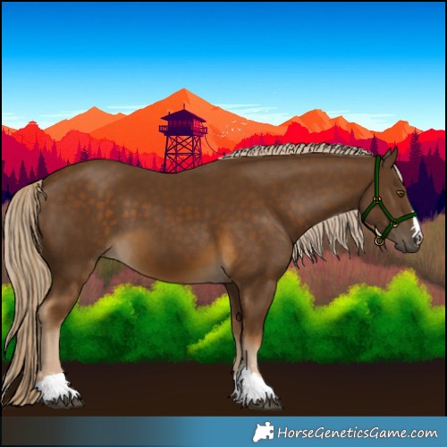 Horse Color:Chocolate Palomino