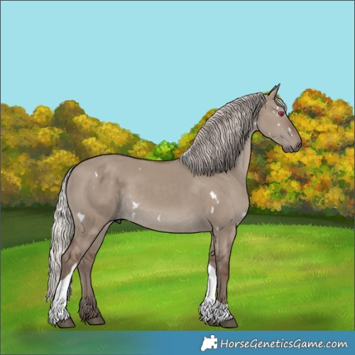 Horse Color:White Spotted Silver Grullo Tobiano 