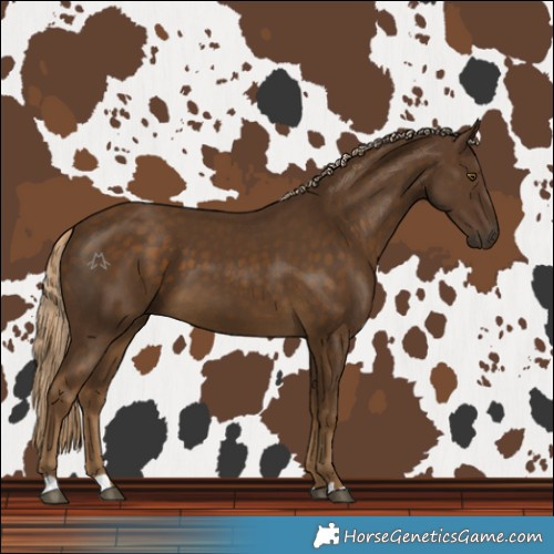 Horse Color:Chocolate Palomino