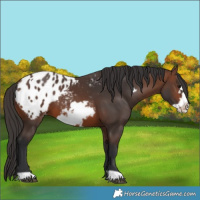 Horse Color:Brown Frame Blanket 