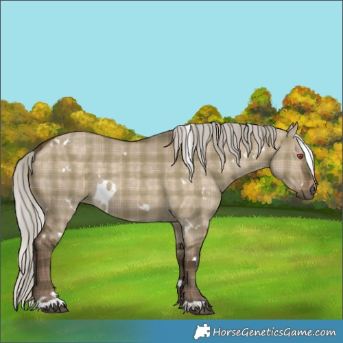 Horse Color:Plaid White Spotted Silver Brown Dun