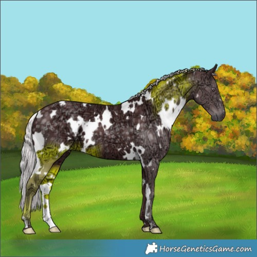 Horse Color:White Spotted Chocolate Silver Smoky Black Chinchilla Ice