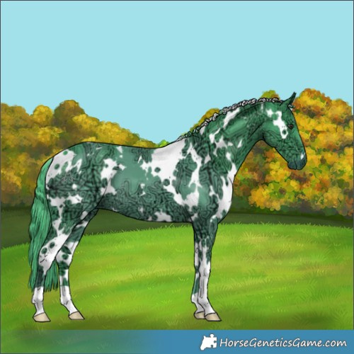 Horse Color:Watercolor White Spotted Chocolate Smoky Black Chinchilla Ice