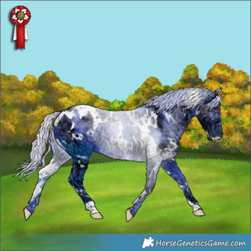Horse Color:Watercolor White Spotted Chocolate Silver Smoky Black Chinchilla Ice 