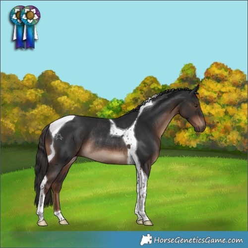 Horse Color:Liver Chestnut Tobiano Rabicano 