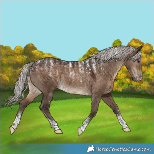 Horse Color:Powder White Silver Brown Dun 