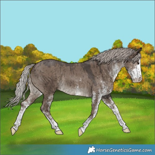 Horse Color:White Spotted Silver Grullo Rabicano Brindle 