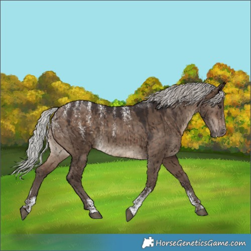 Horse Color:Powder White Silver Brown Dun Brindle 