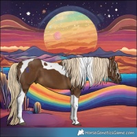 Horse Color:Chocolate Palomino Tobiano 