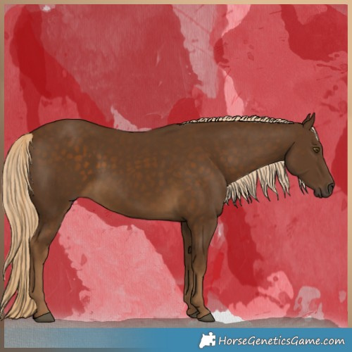 Horse Color:Chocolate Palomino 