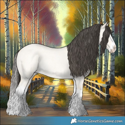 Horse Color:Buckskin Roan Dun Splash
