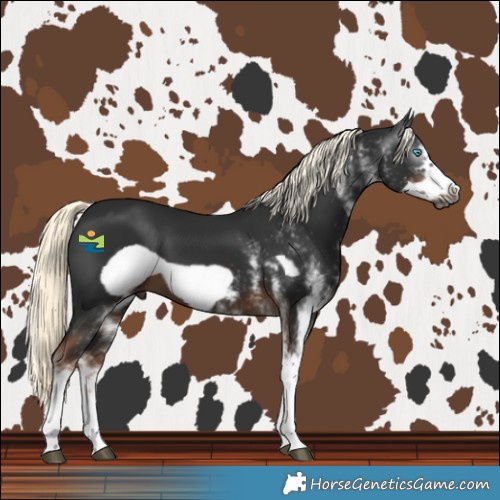 Horse Color:Gray White Spotted Liver Chestnut Mushroom Frame 