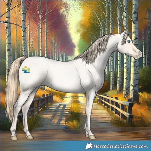 Horse Color:Buckskin Roan Pearl  and Buckskin Roan Pearl 