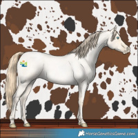 Horse Color:Buckskin Roan Pearl  and Buckskin Roan Pearl 