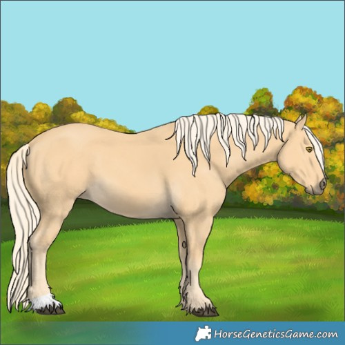 Horse Color:Palomino