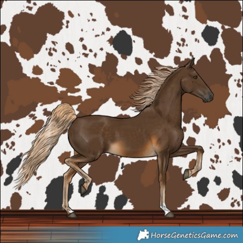 Horse Color:Chocolate Palomino 