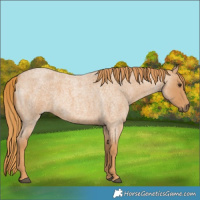 Horse Color:Red Roan