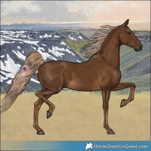 Horse Color:Chocolate Palomino 