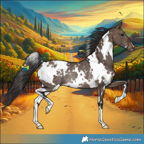 Horse Color:White Spotted Brown Dun Varnish Rabicano