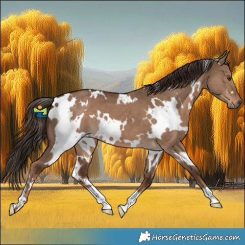 Horse Color:White Spotted Liver Red Dun