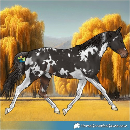 Horse Color:White Spotted Liver Chestnut Tobiano