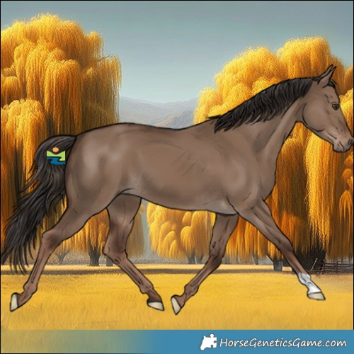 Horse Color:Liver Red Dun