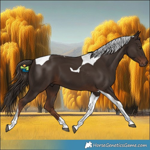 Horse Color:Liver Chestnut Tobiano