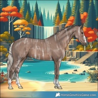 Horse Color:Silver Black Ice
