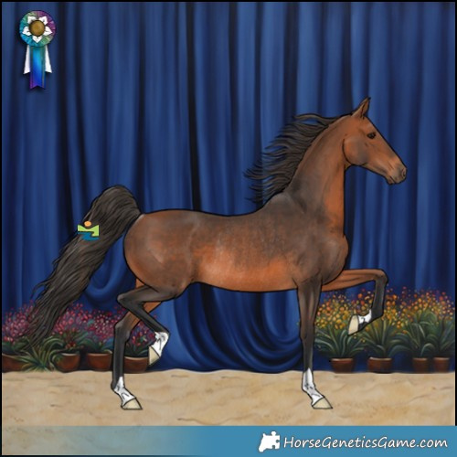 Horse Color:Bay Rabicano