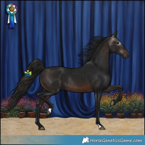 Horse Color:Gray Bay Rabicano