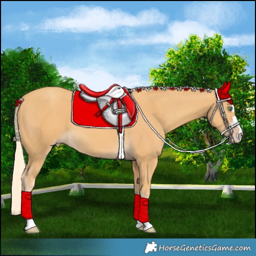 Horse Color:Gold Cream Champagne