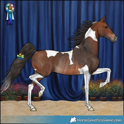 Horse Color:Bay Tobiano Rabicano