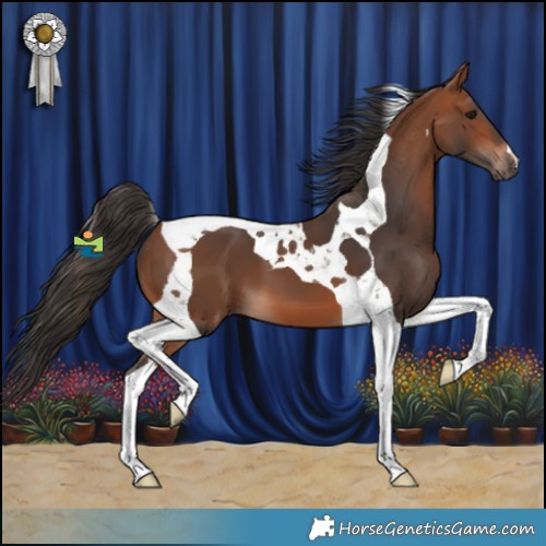 Horse Color:Bay Tobiano 
